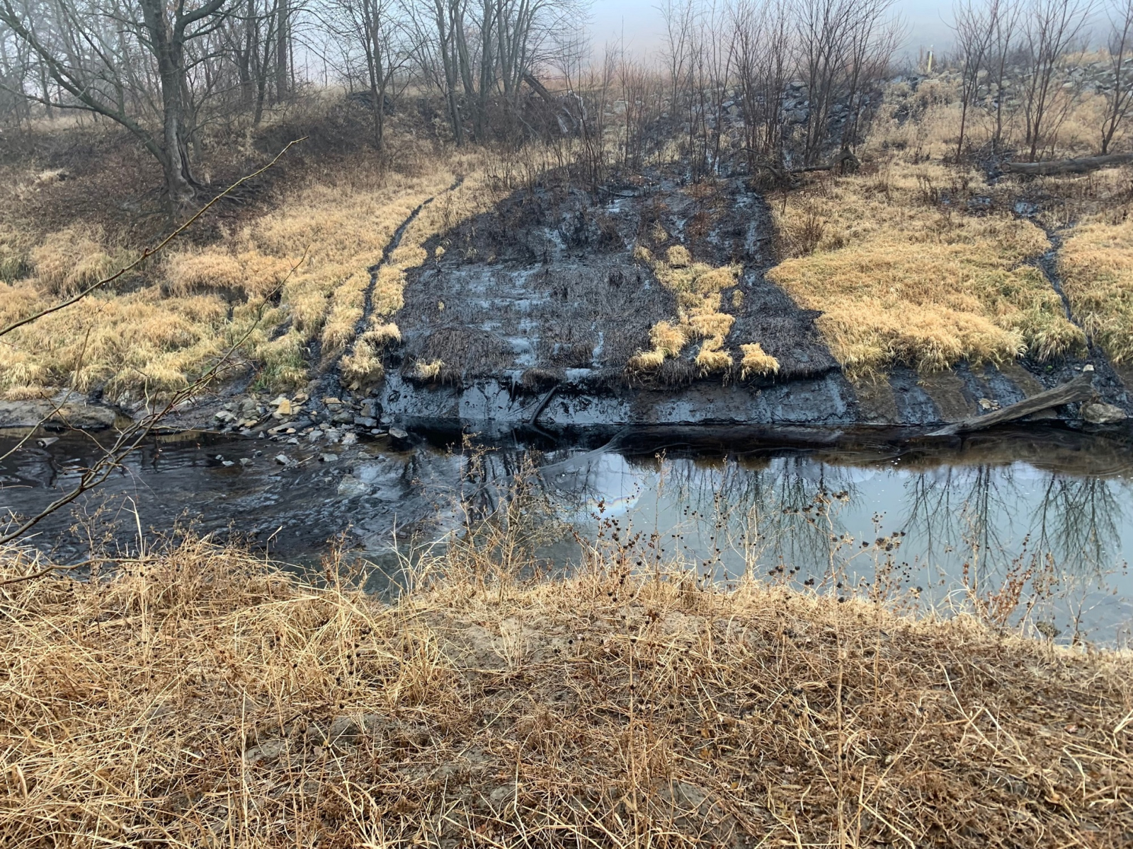 Black is oil seen in and around a creek and on top of brown, dry grass.