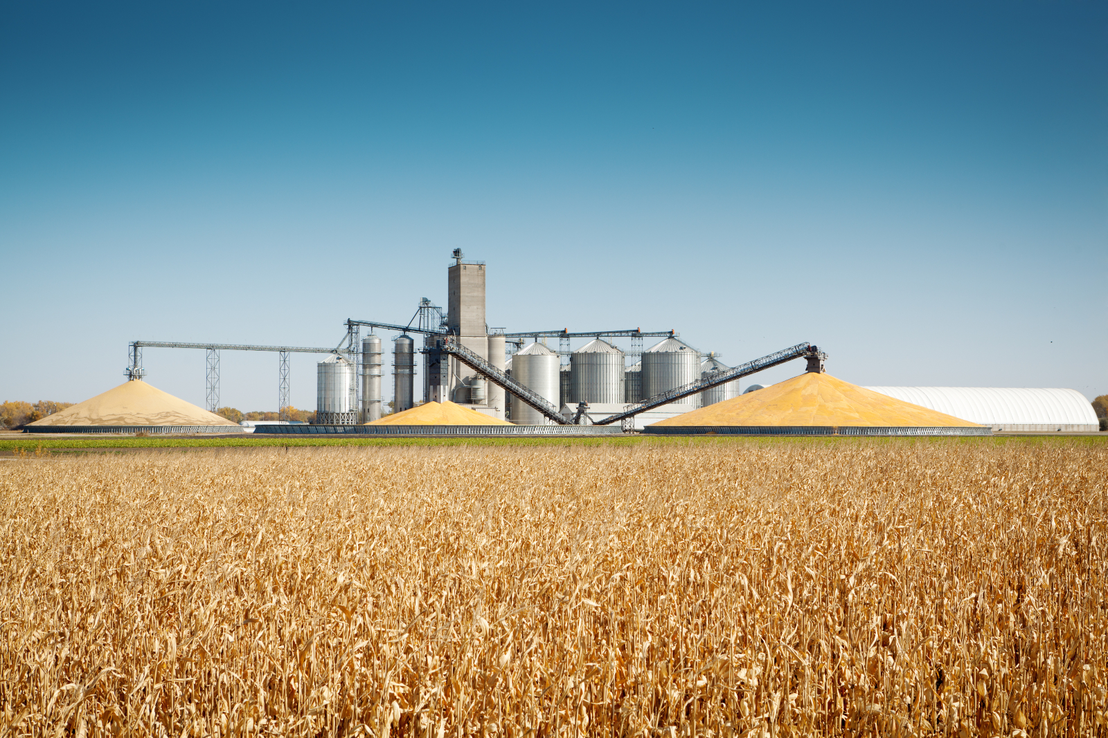 Large metal silos are seen in the background, with a corn field in the foreground.