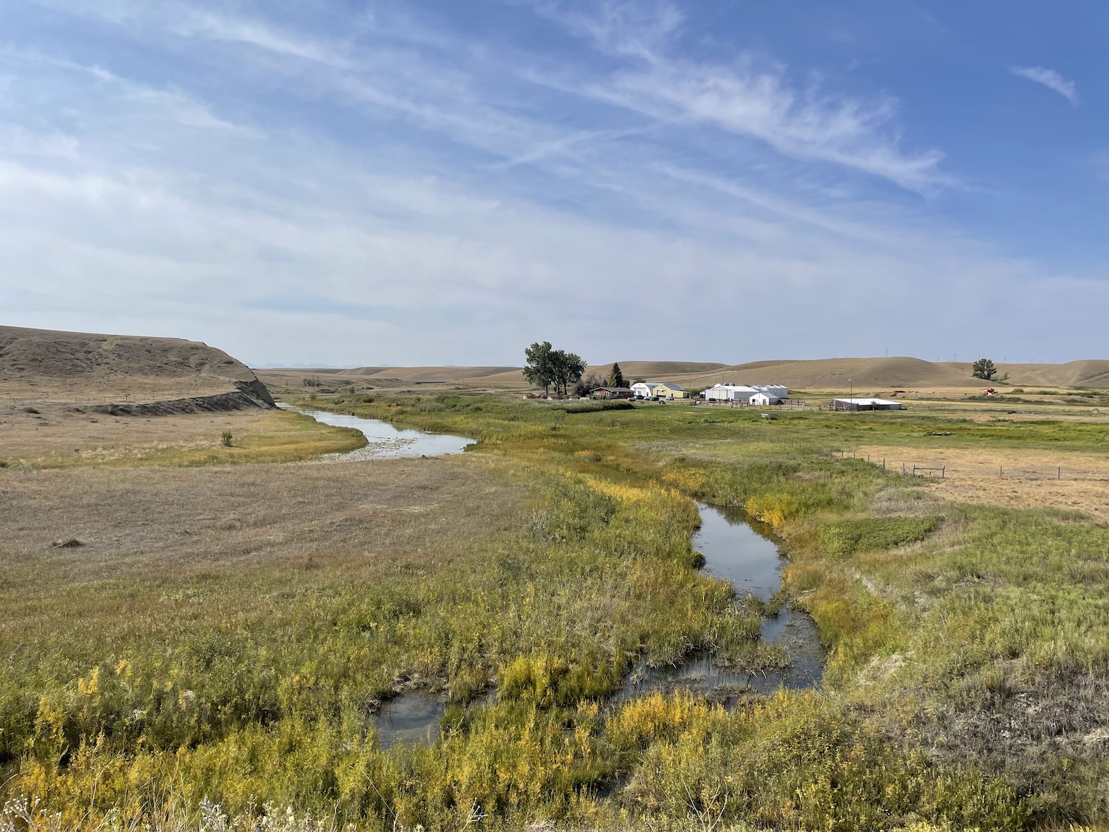 a river runs through a grassy plain under a big blue sky