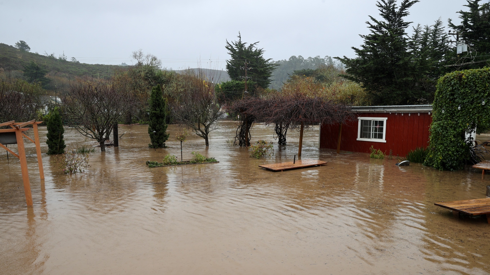 Fooding by the Highway 92 West in Half Moon Bay, California.