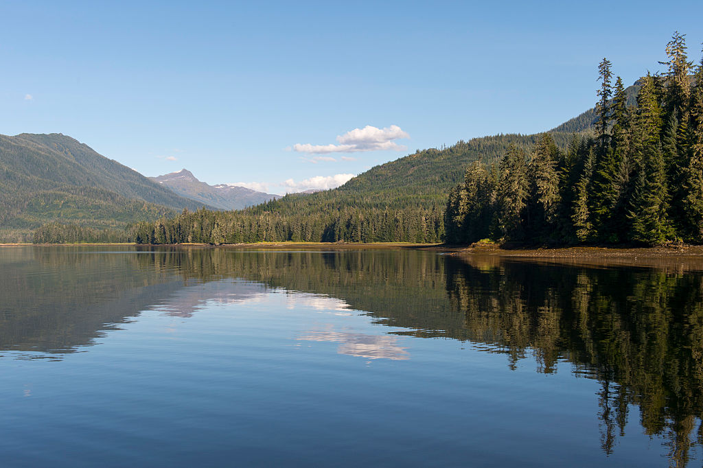 View of Hobart Bay off Stephens Passage in Tongass National Forest, Southeast Alaska, USA.