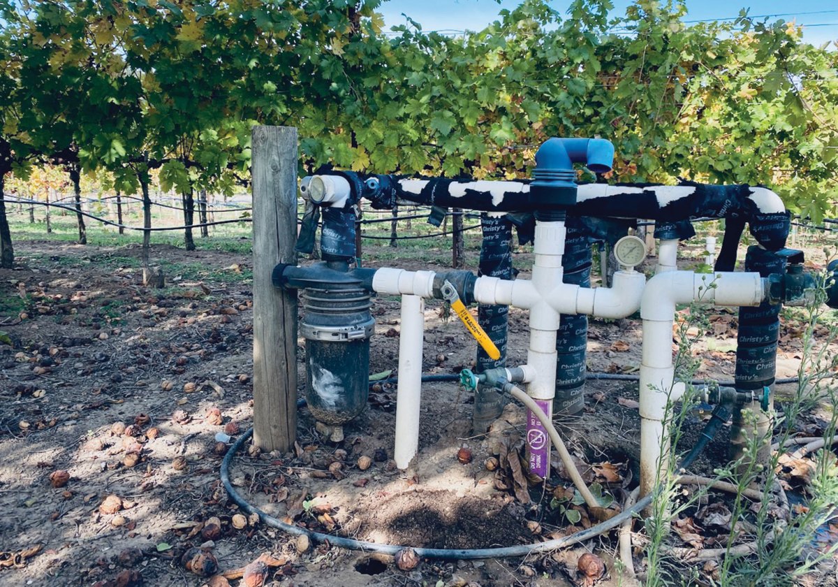 System of pipes beside rows of grapes