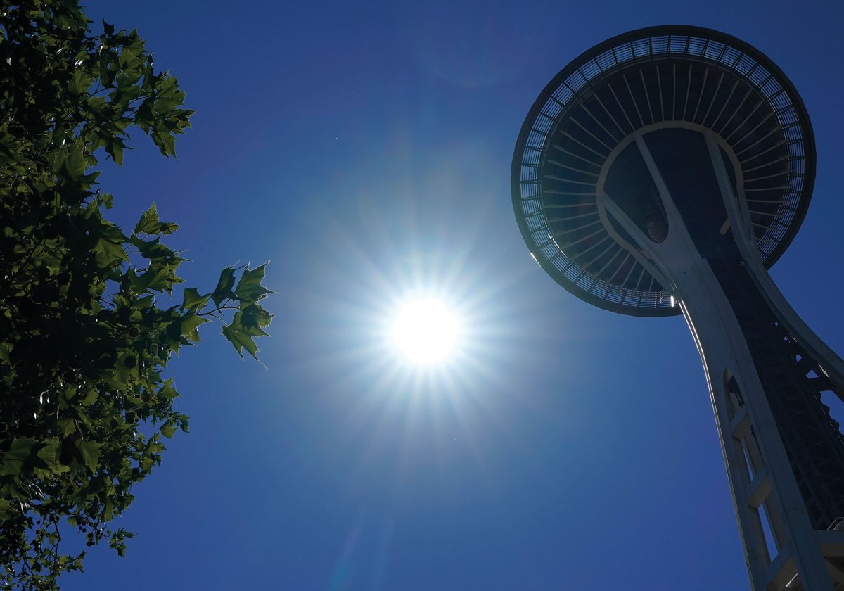 Sun shining between tree and Space Needle overhead