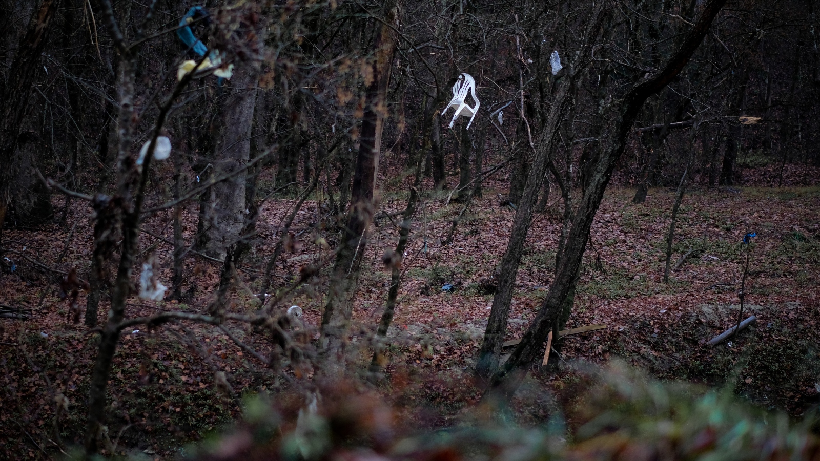 A white plastic chair rests high in a bare-branched tree.