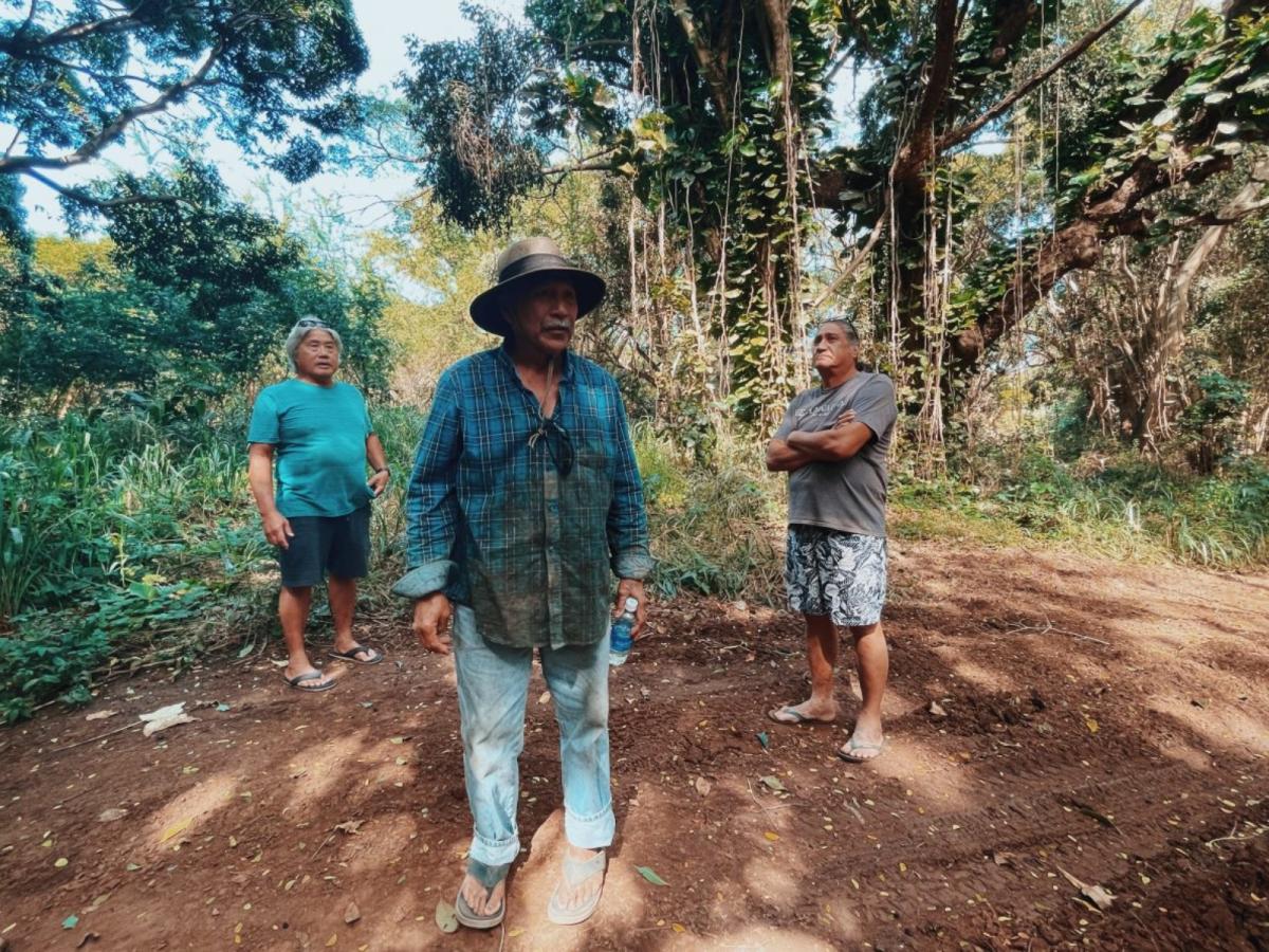 A man in jeans and a plaid shirt and flip flops stands in front of two other people in a shady patch of soil under large trees.