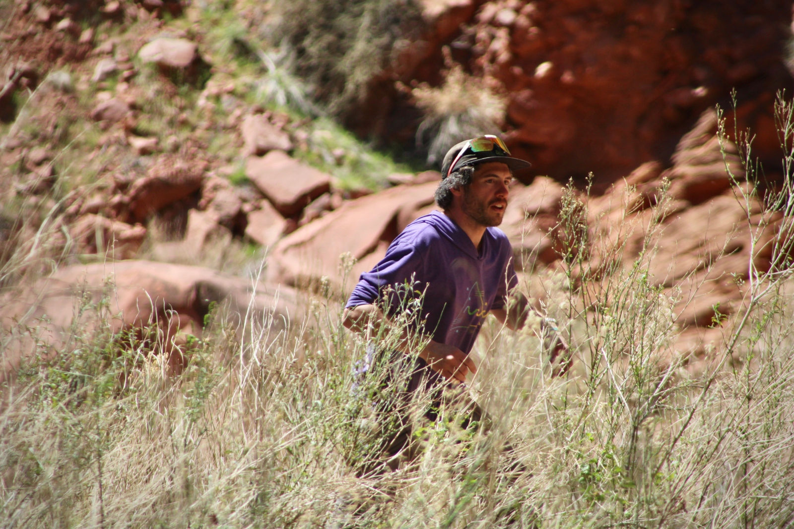 A man with curly black hair wearing a purple sweatshirt runs through tall grass.