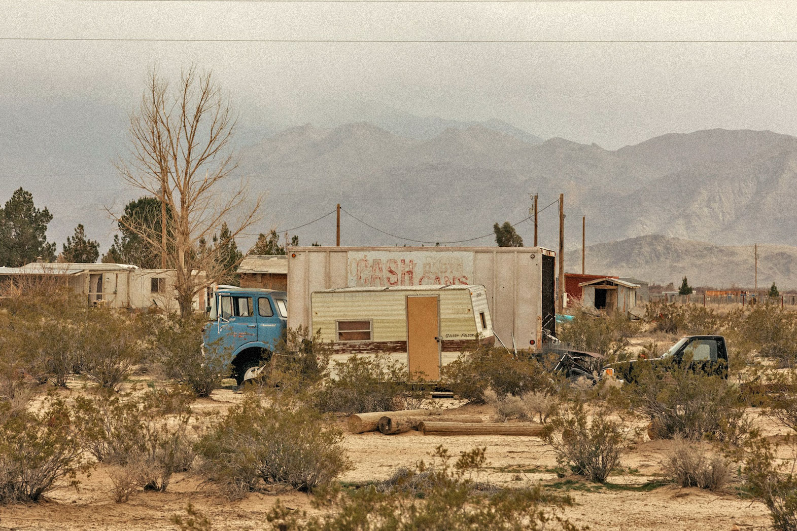 a trailer and truck near wind-swept trees and desert