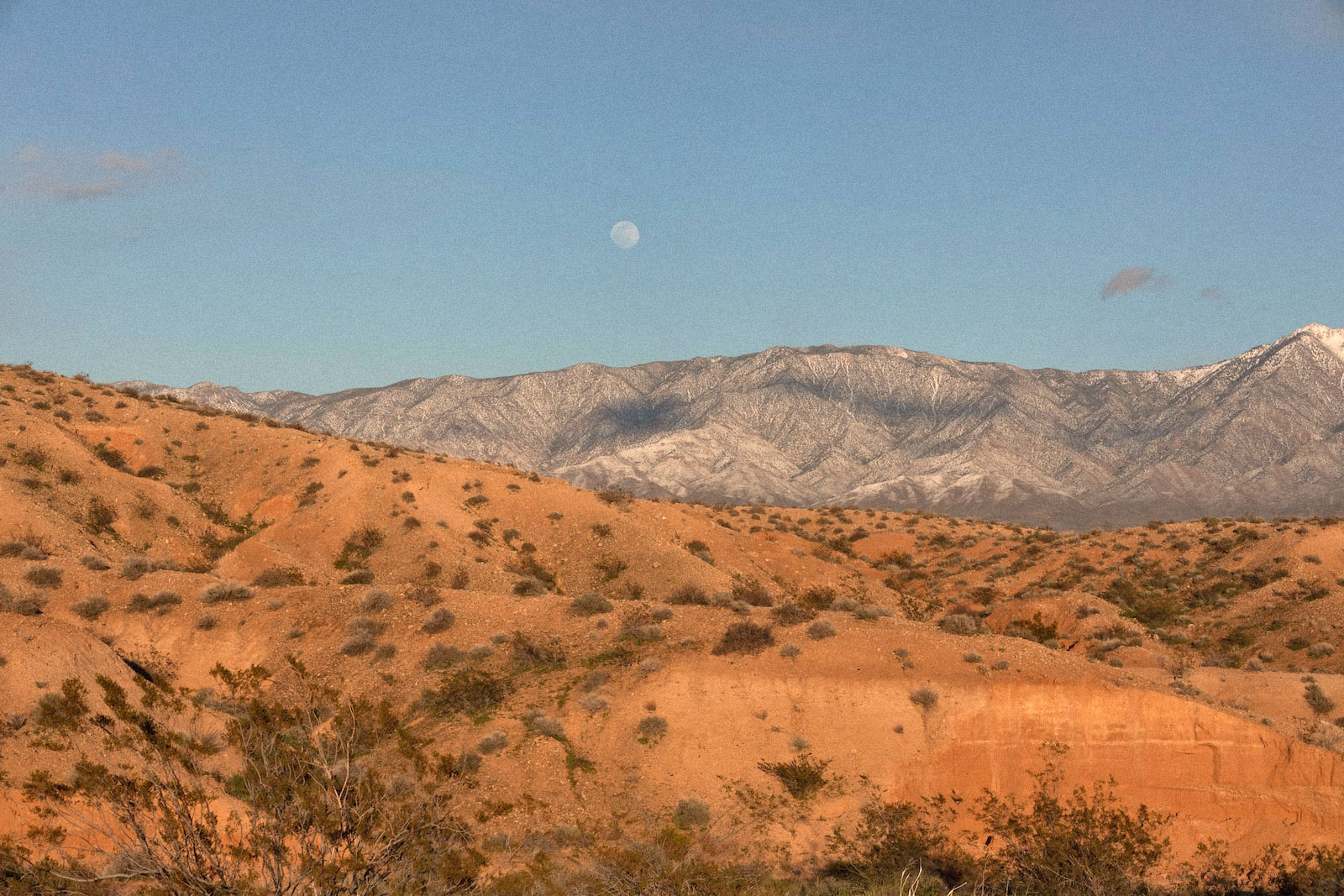 a desert landscape with reddish dirt and mountains