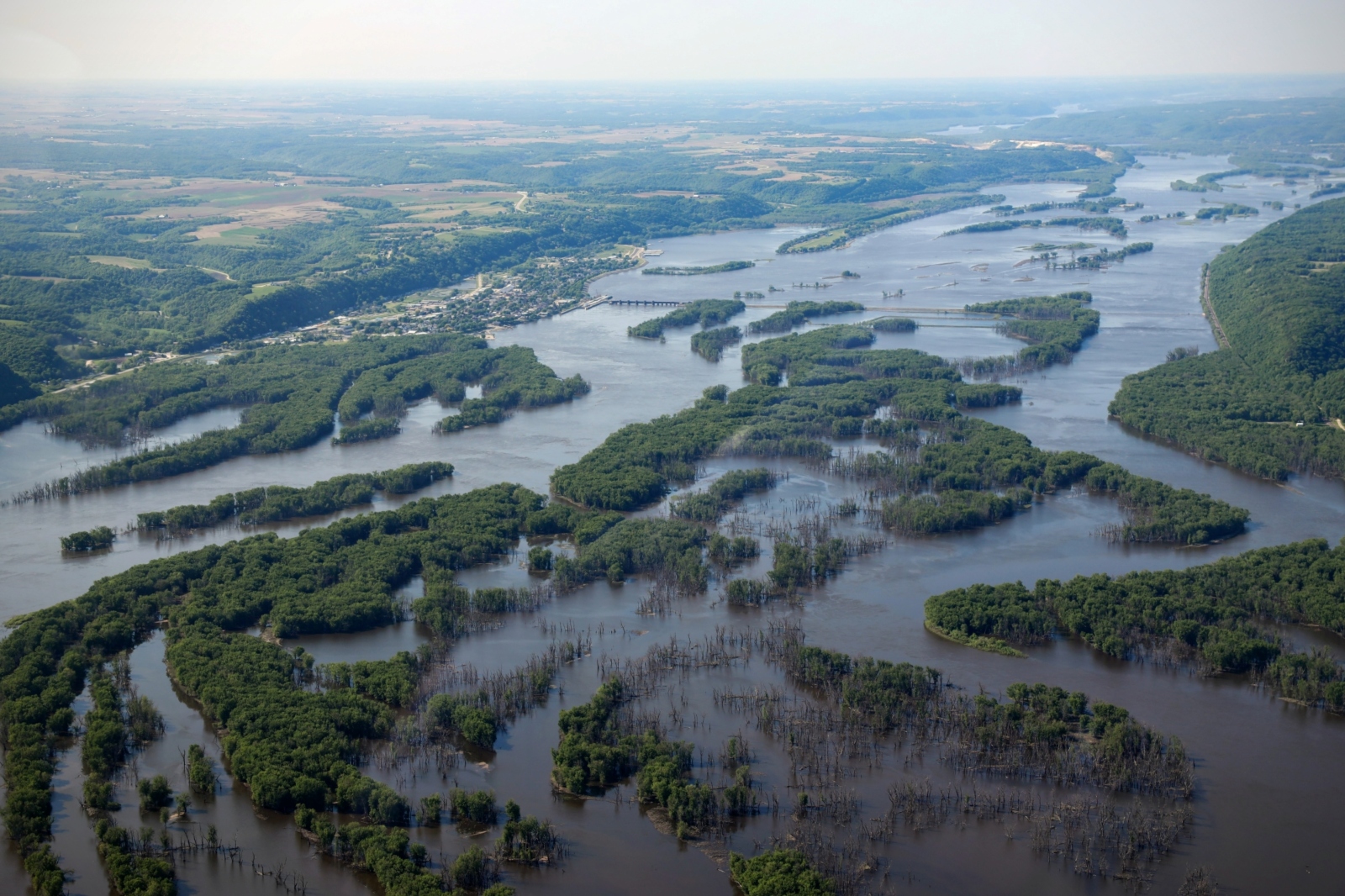 An aerial photo of green islands in a wide river.