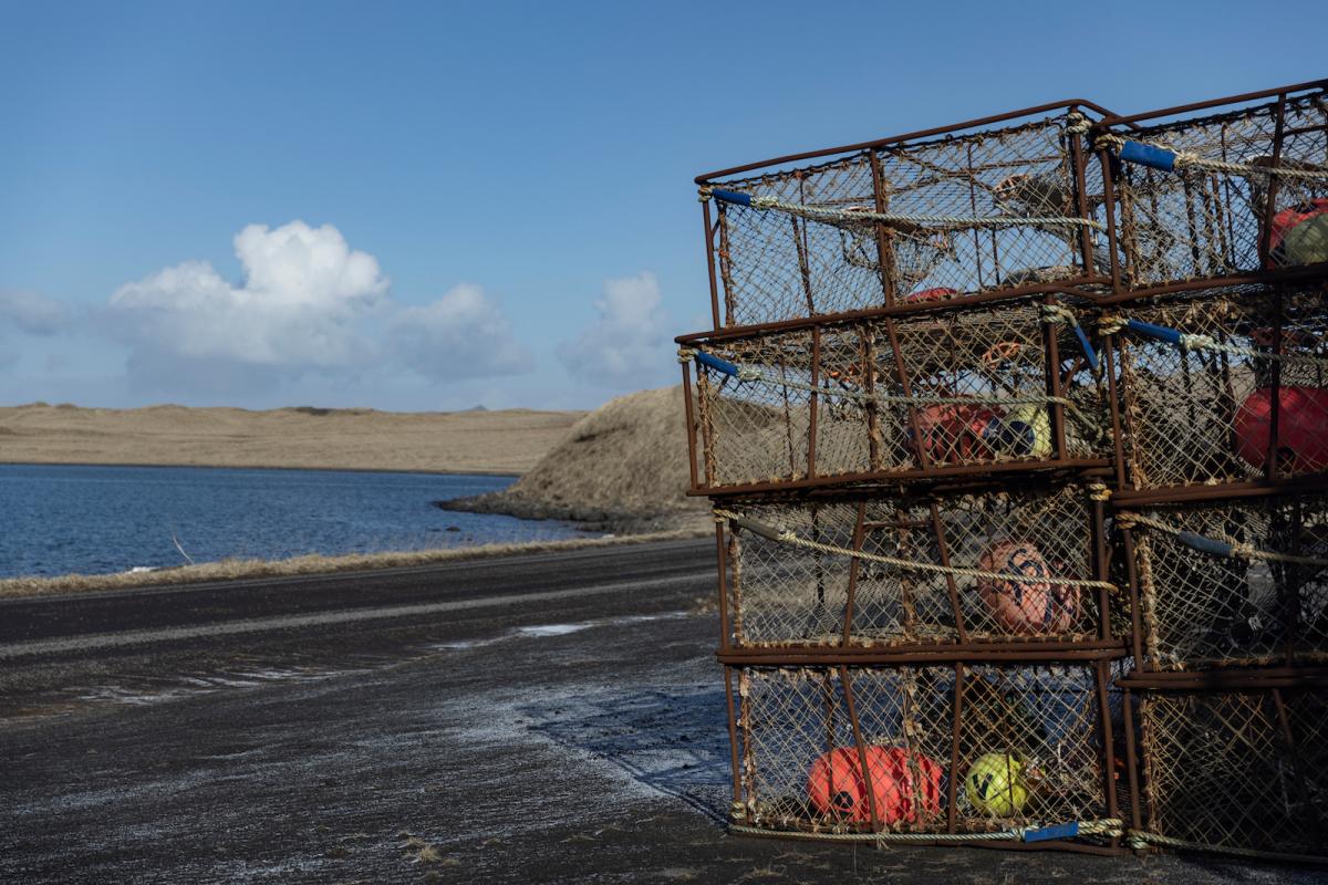 Crab fishermens' pots sit idle outside of the community of St. Paul since the crab crash and subsequent closure.