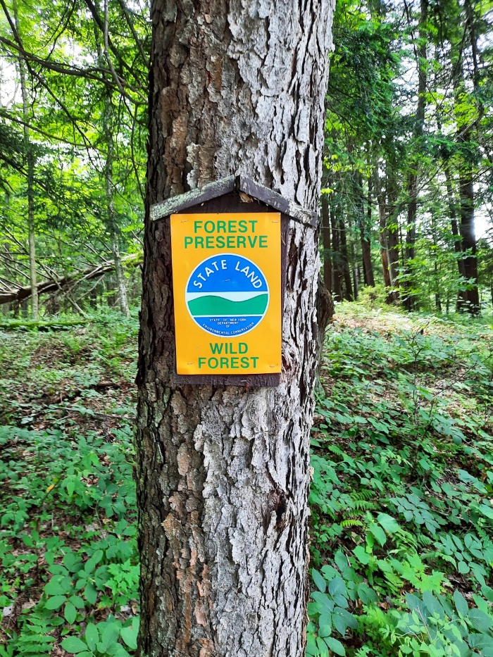 A sign that reads: forest preserve state land wild forest attached to a tree.