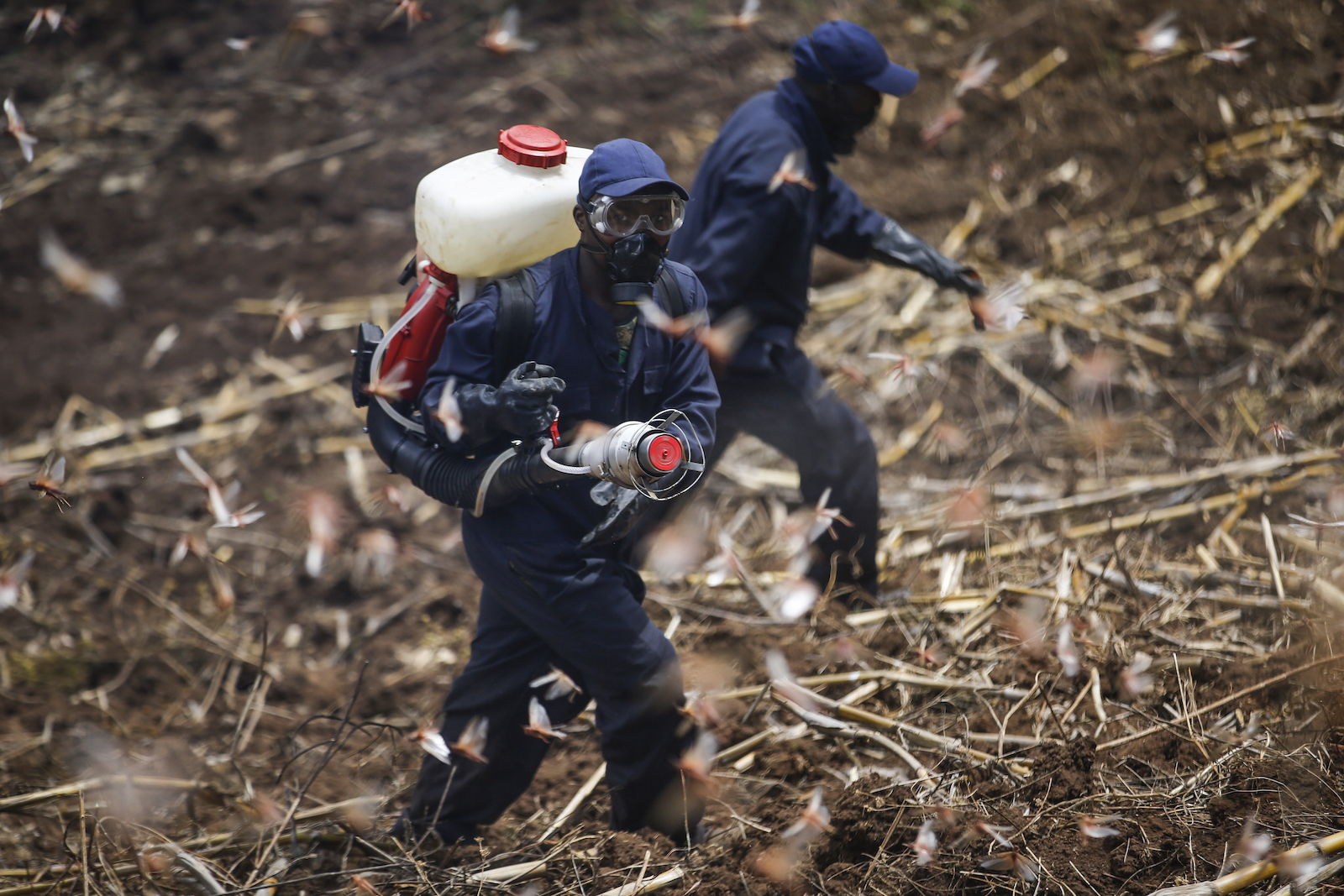 two young men wear masks and goggles while spraying chemicals