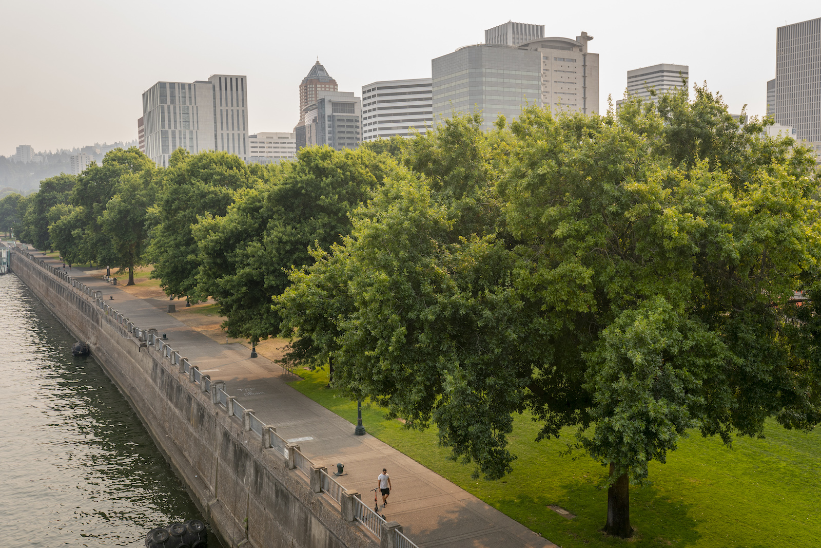 Aerial view of an esplanade with trees and a smoky sky