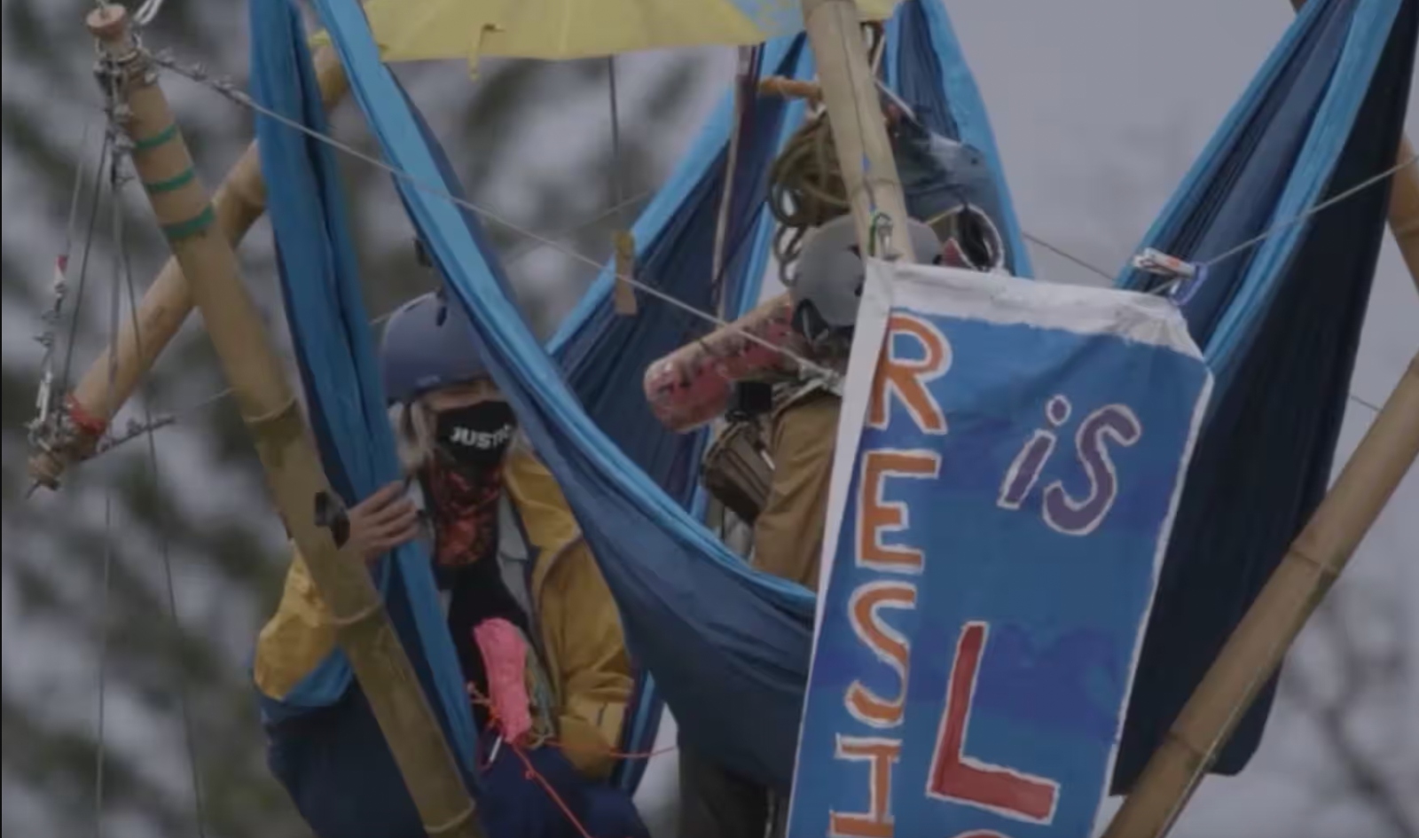 Two masked protesters are perched in hammocks.