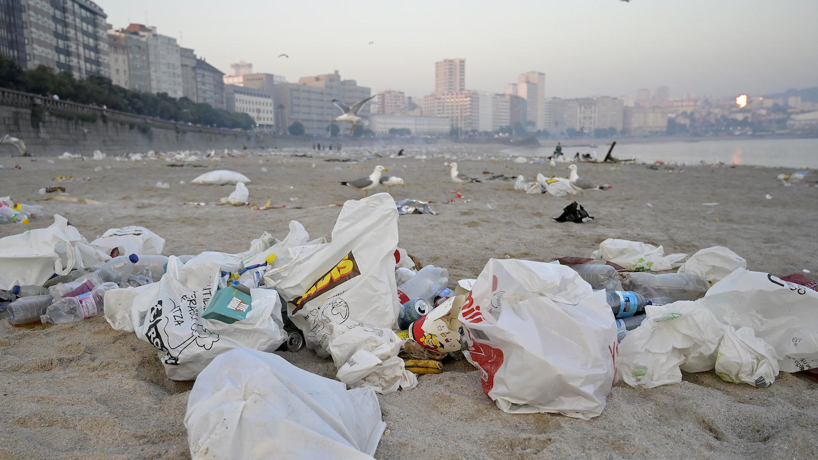 Plastic bags and trash on a beach, with cityscape in background