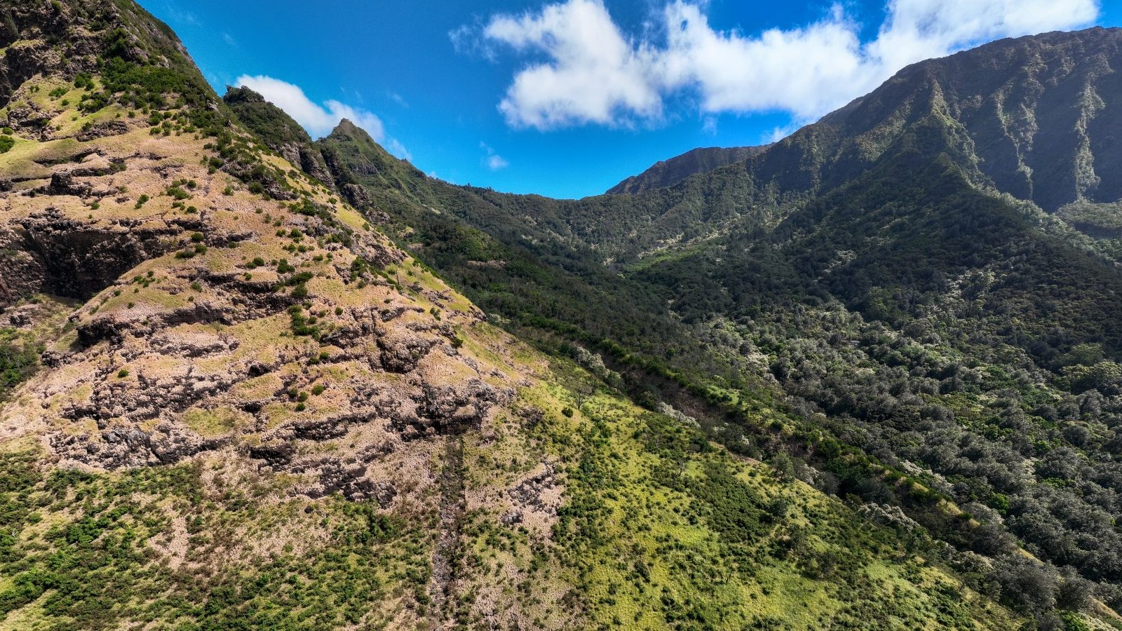 A view of lush mountains with a path running through them.