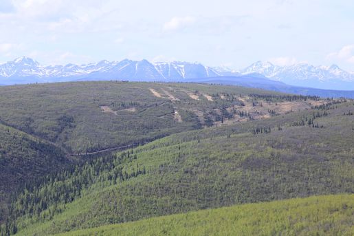 a landscape view of trees and a green valley