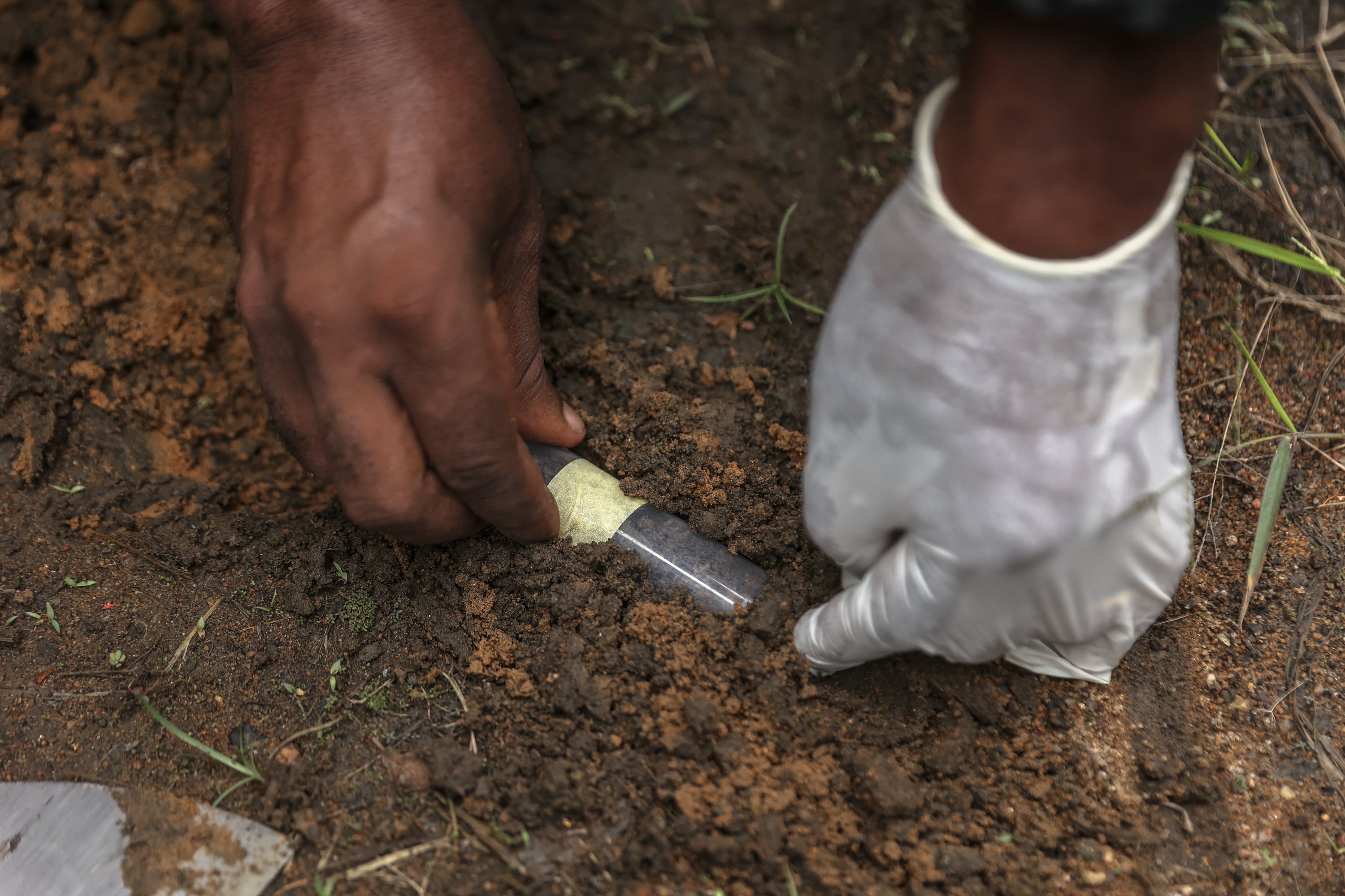 A pair of hands, one with a glove, scrape soil into a test tube.