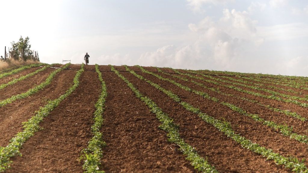 A Palestinian farmer works the land near Jabalia Refugee Camp in Gaza City in May, 2018.