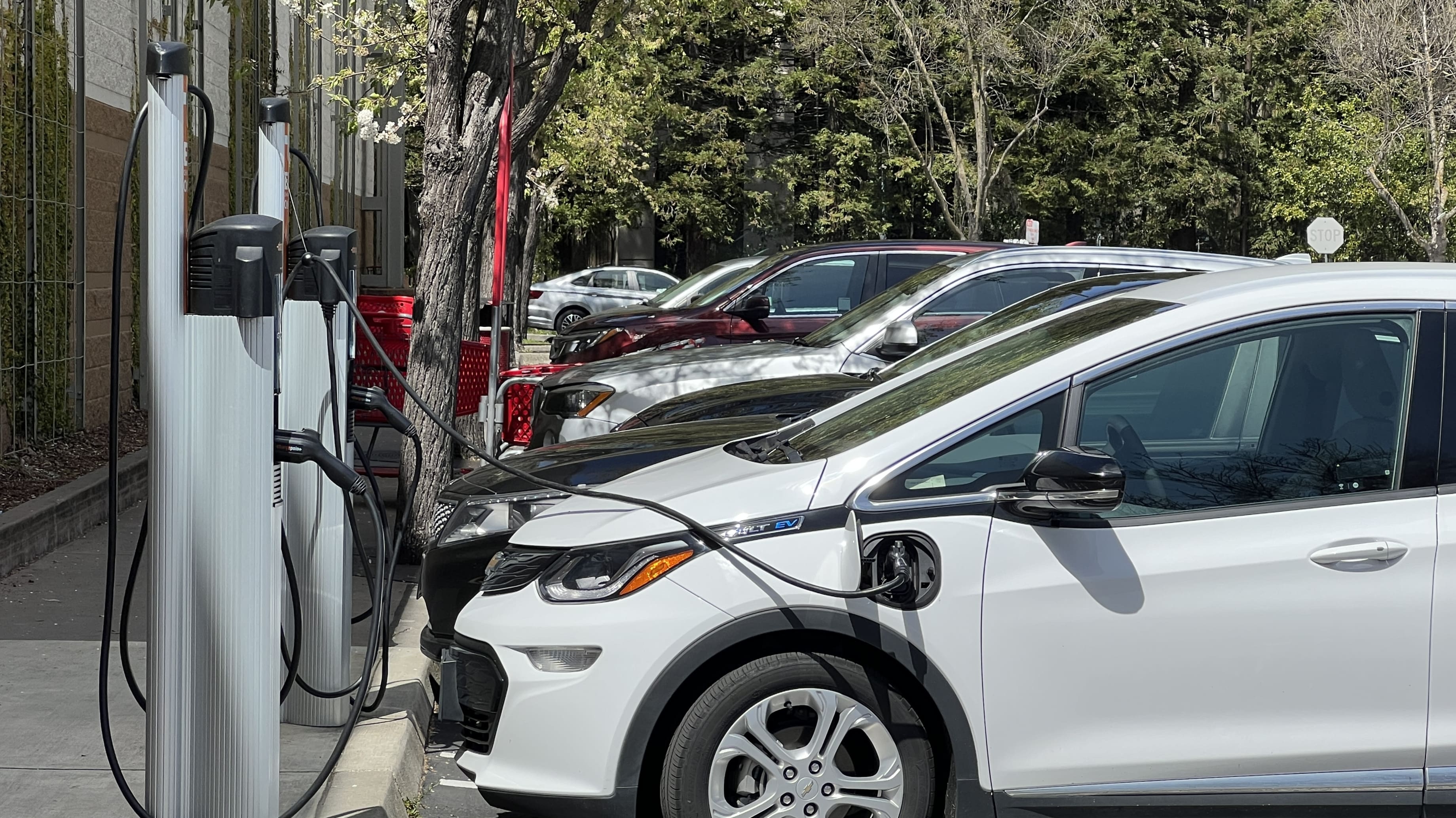 A group of cars are lined up next to each other connected to cables and chargers.