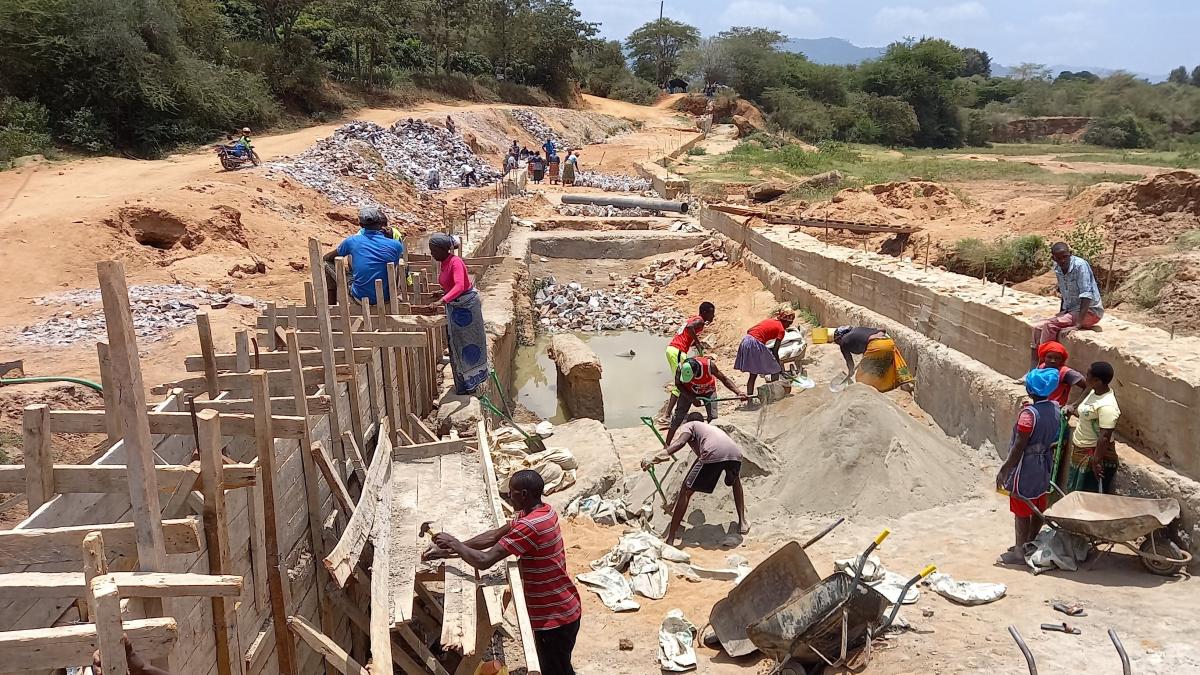 A group of people work on building a road alongside a forest.