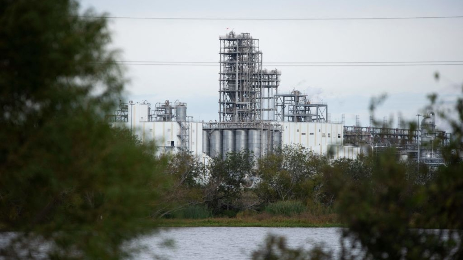 A plastic factory with foliage in the foreground