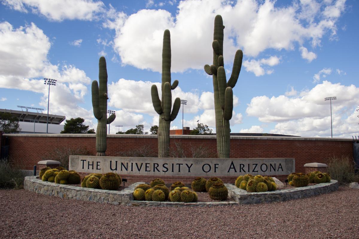 cacti grow behind a sign saying "university of arizona"