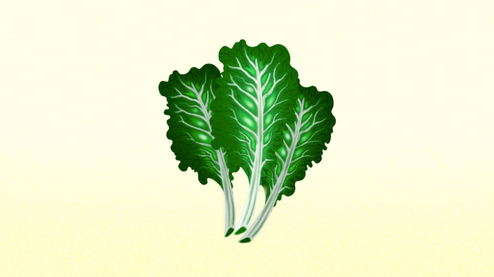 Illustration of collard greens on cream background