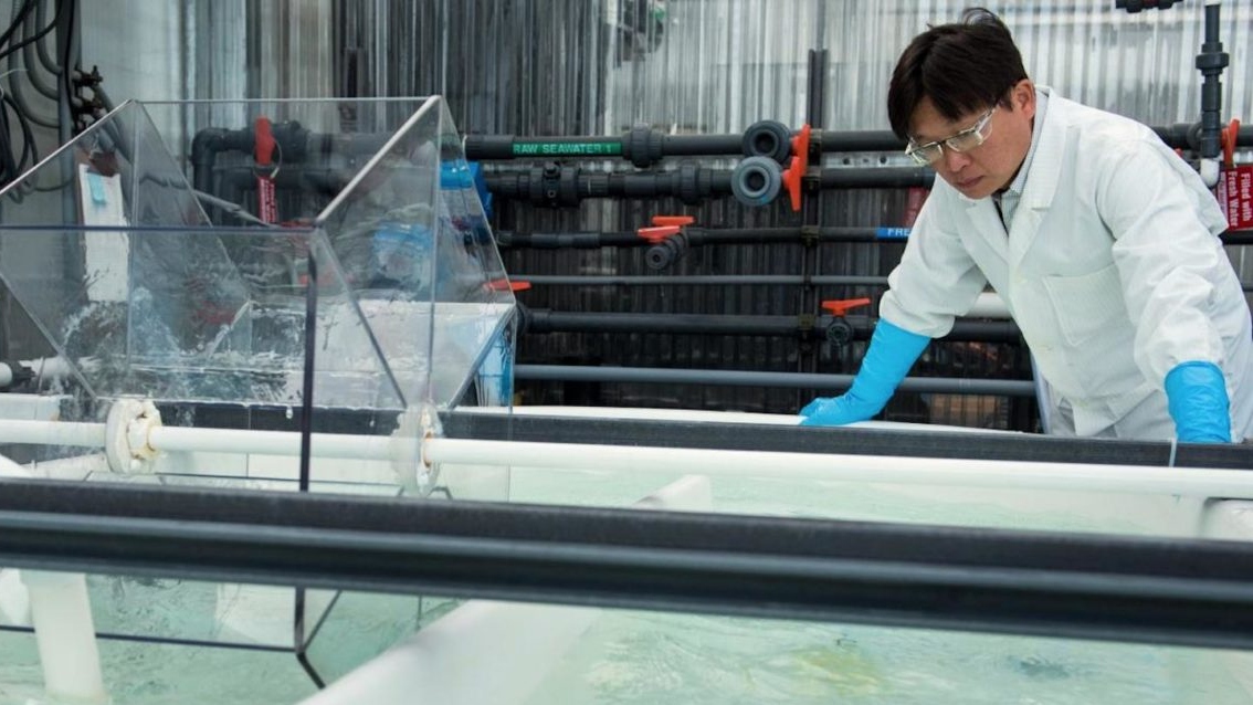 A man wearing a white lab coat, glasses and large blue gloves peers into a tank of water.