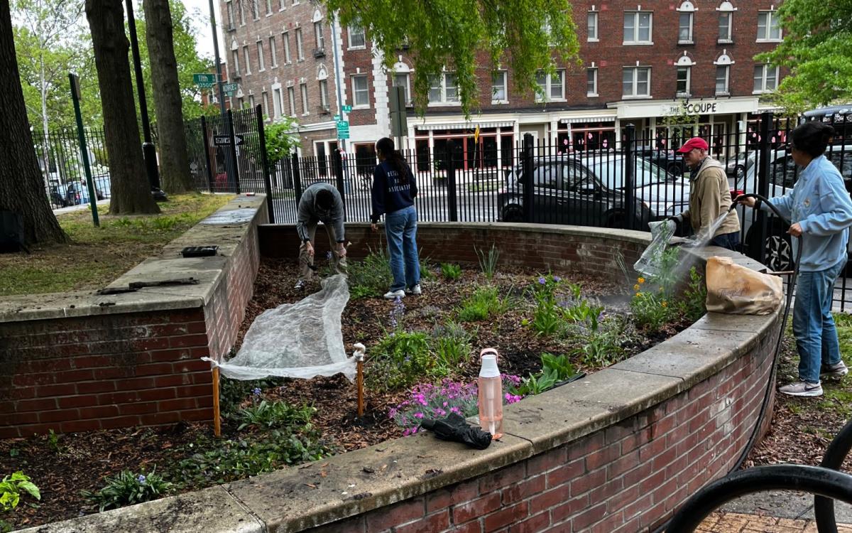 Two people stand inside of a large brick planter laying down a protective covering over seedlings, another person stands at the edge watering with a hose