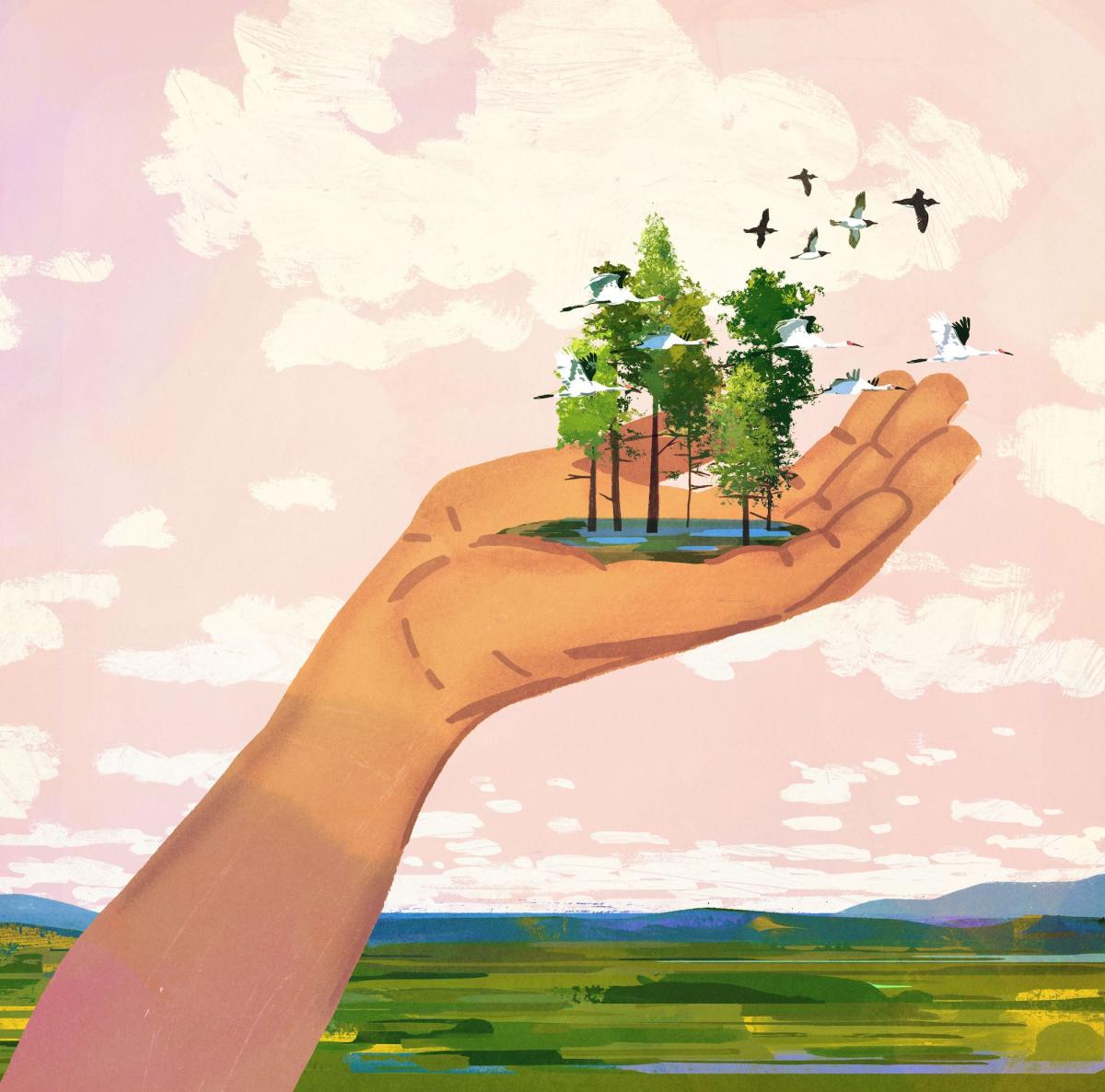 An illustration of a hand holding a copse of trees