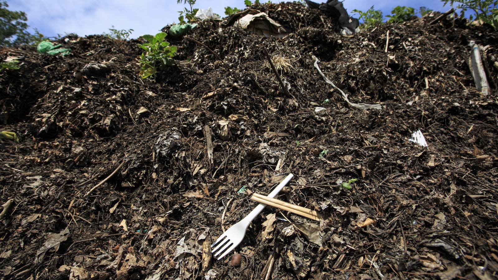 A plastic fork sits in a large pile of compost