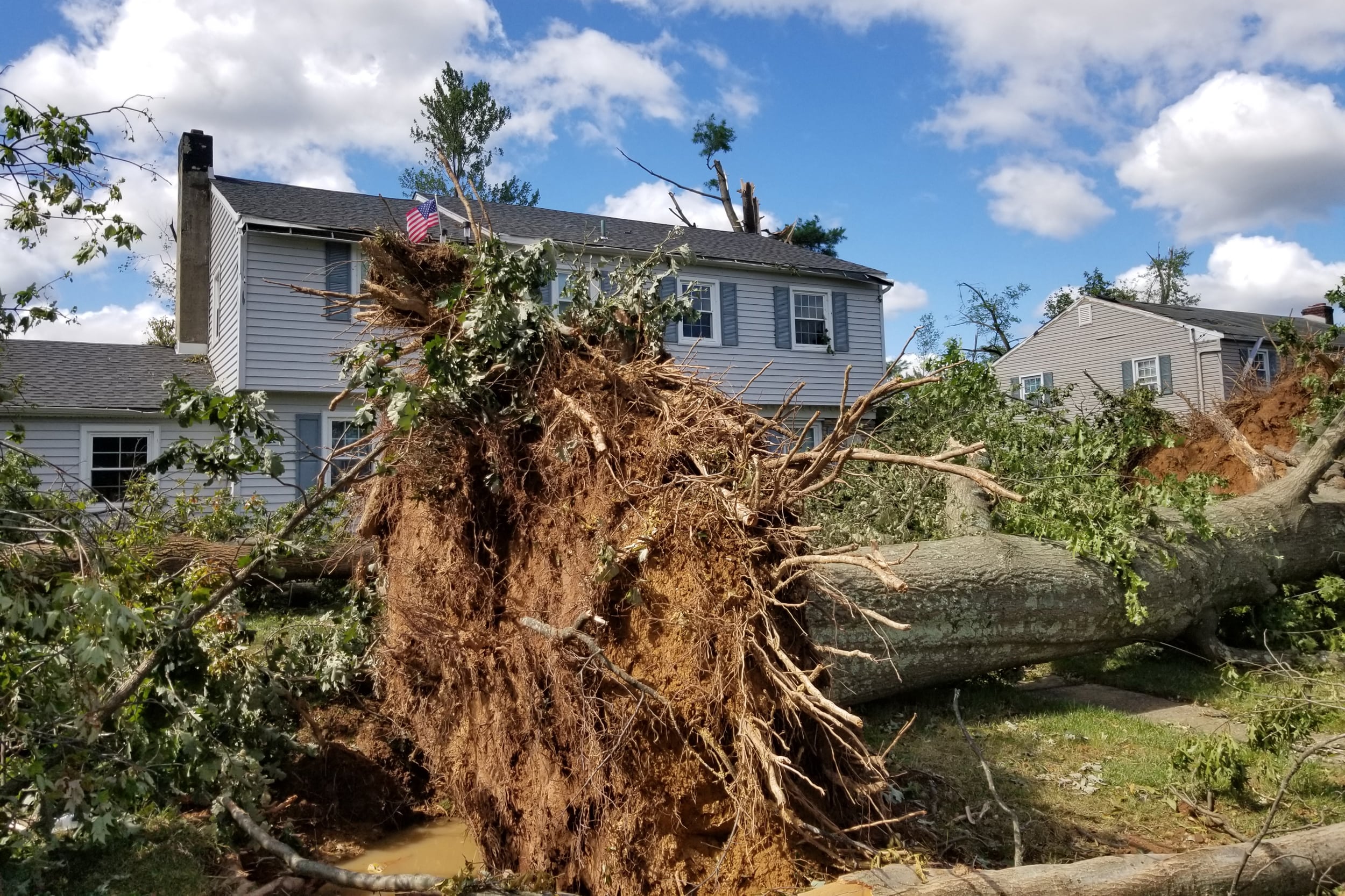 A huge tree lies on its side in front of a two-story house