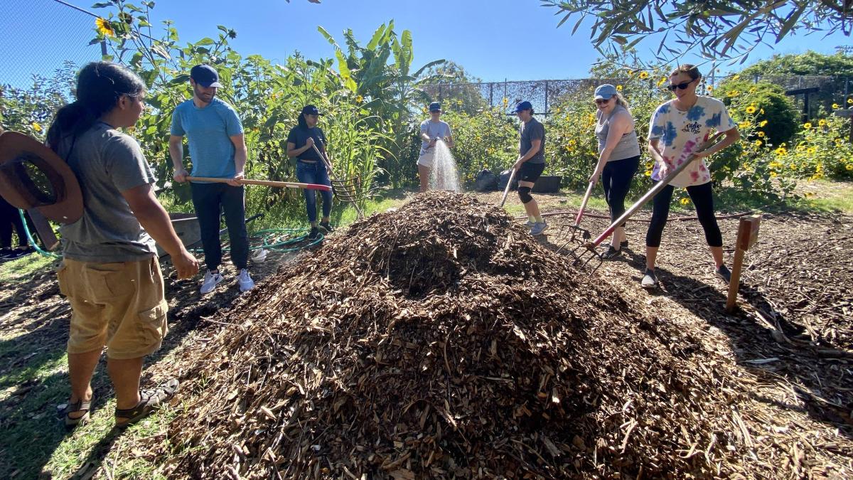 People stand around compost pile