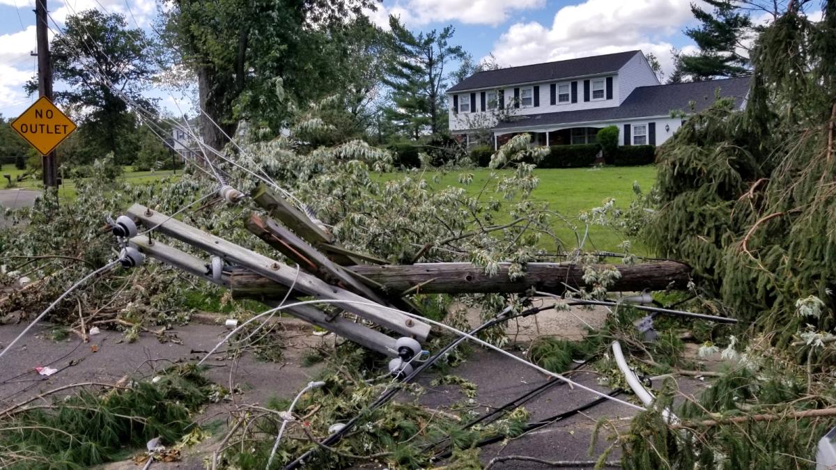 A downed phone pone lies mangled in the street with tree branches in front of a green lawn and large white house