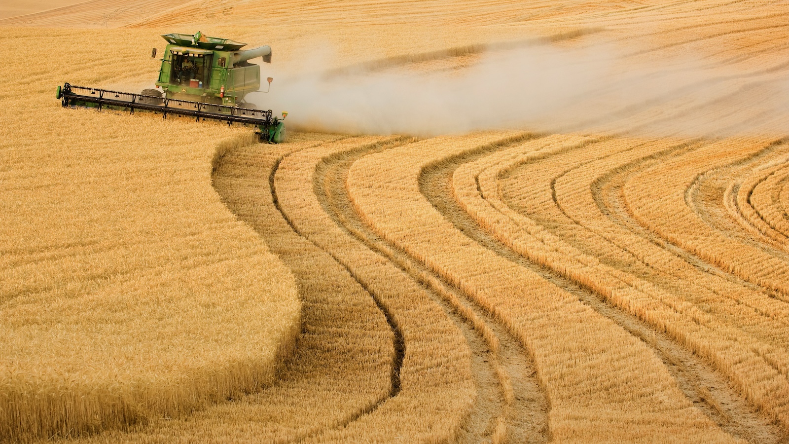 A combine harvests wheat in an expansive hillside field in rural Washington.