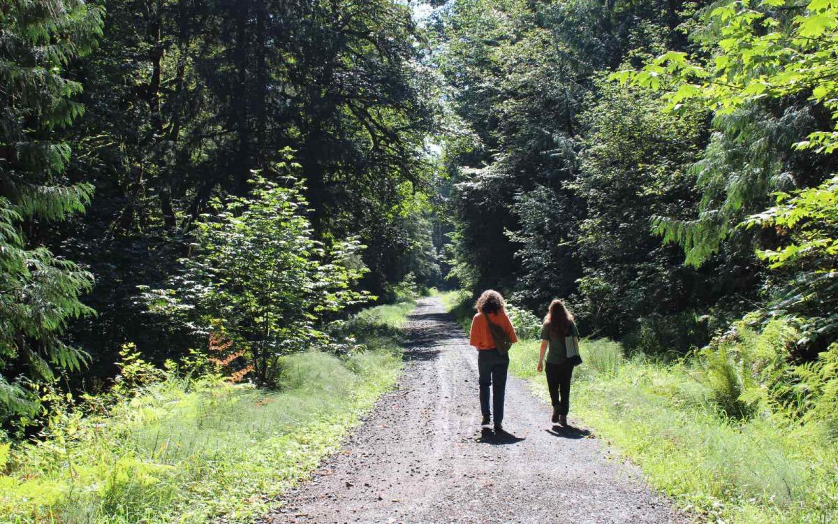 Two women walk along a dirt path in a green forest