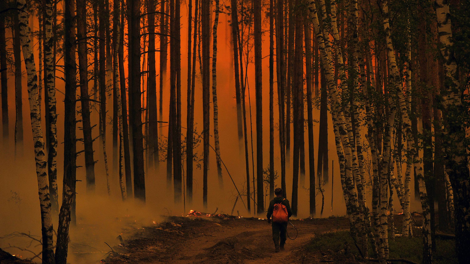 Photo of a person walking through a forest filled with red smoke