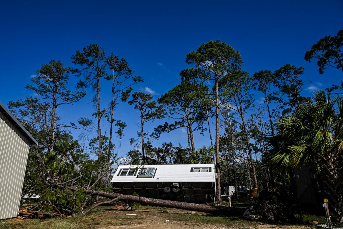 A mobile home is seen among trees after Hurricane Helene