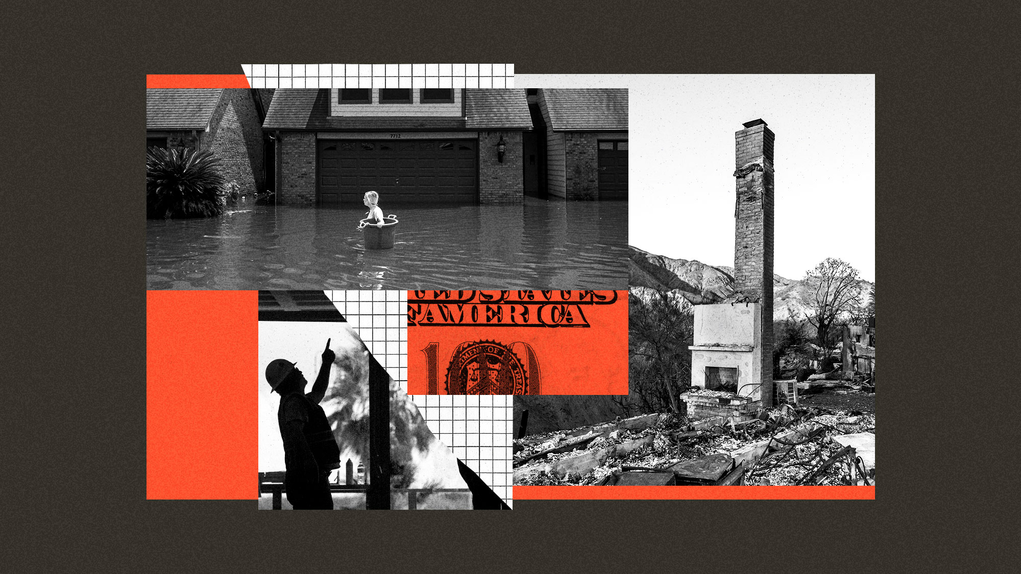 The Disaster Economy